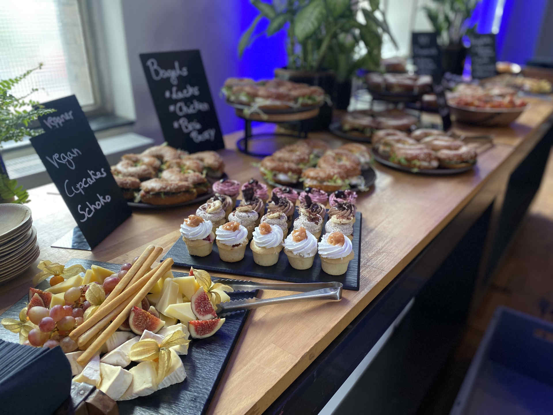 Paletten Lounge Möbel im industriellen Saal, davor sitzt ein kleiner Hund und schaut in die Kamera